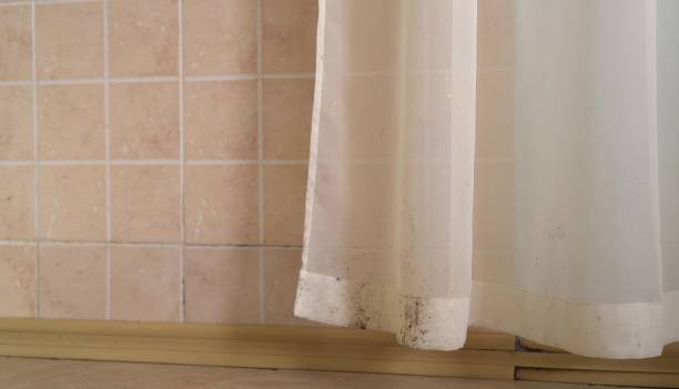 Best Residential Mold Inspection & Testing  in Clayco, MO