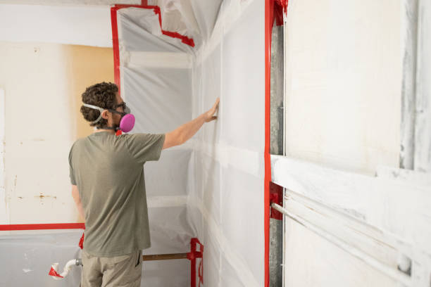 Forensic Mold Investigation in Claycomo, MO