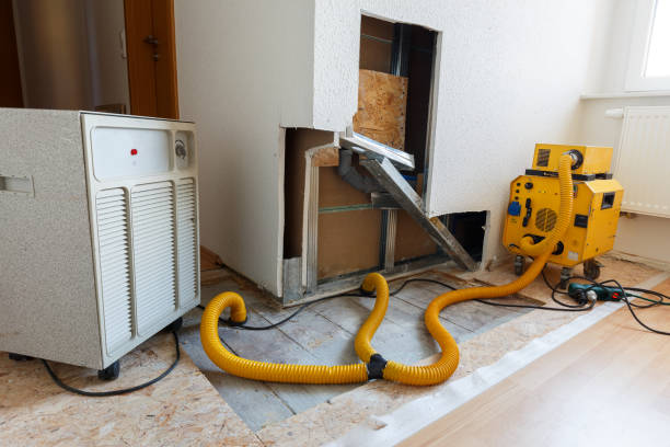 Best Comprehensive Air Testing for Mold Contaminants  in Clayco, MO